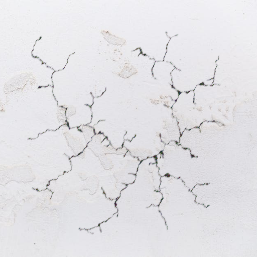 Before image