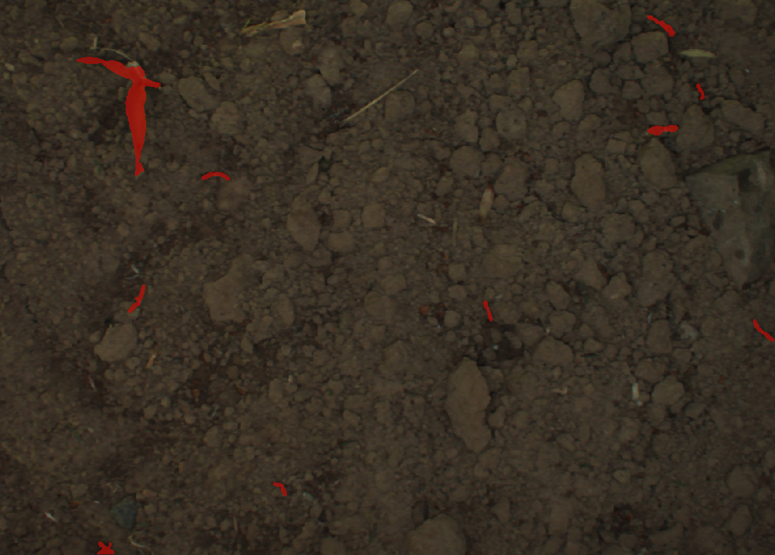 Before image
