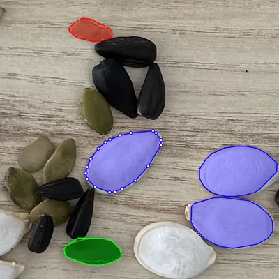 Seeds of the three classes outlined with polygons on one of the example's photos