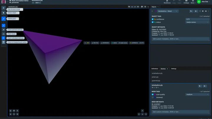 The Supervisely mesh labeling toolbox with a tetrahedron mesh painted as one object, and its tags and metadata