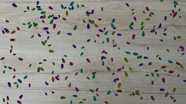 A synthetic image made by the Flying objects app: seeds pasted onto a wood background, each with a mask of its own